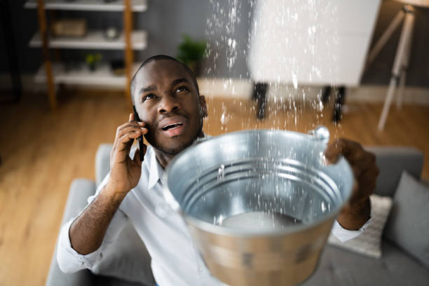 Best Professional water damage repair  in South Greensburg, PA