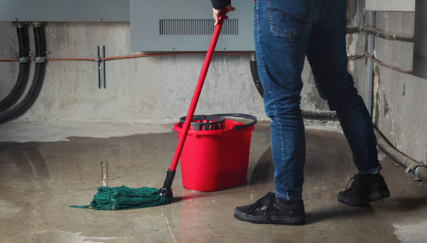 Best Water damage restoration specialists  in South Greensburg, PA