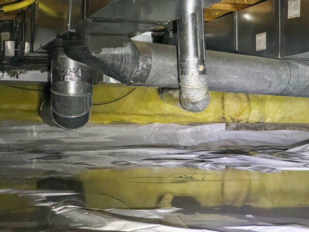 Best Flood damage cleanup  in South Greensburg, PA