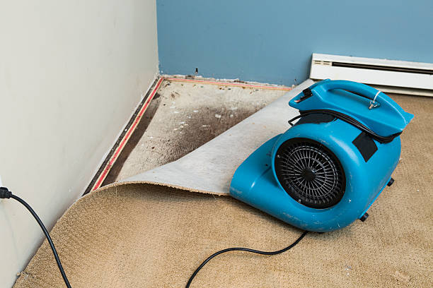 Best Flood restoration services  in South Greensburg, PA